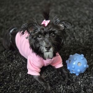 Meet your Posher, Daphanie